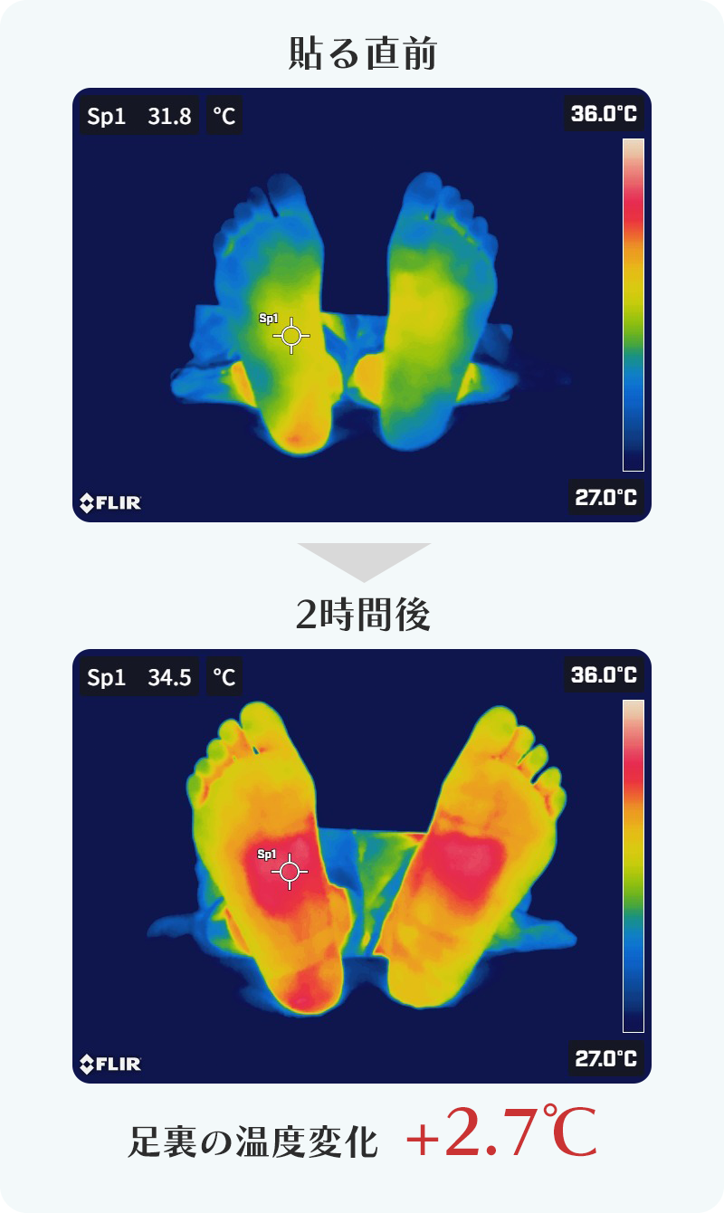 +5.1℃