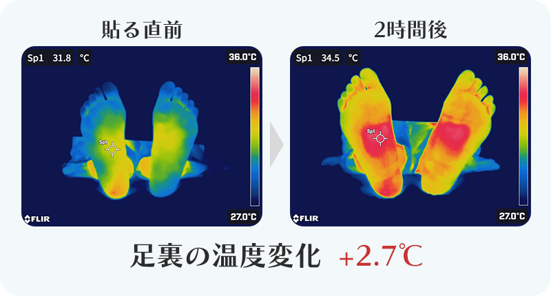 +5.1℃