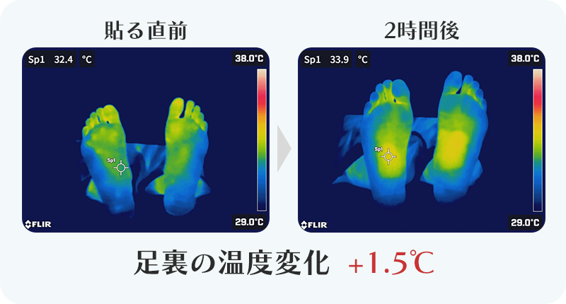 +1.5℃