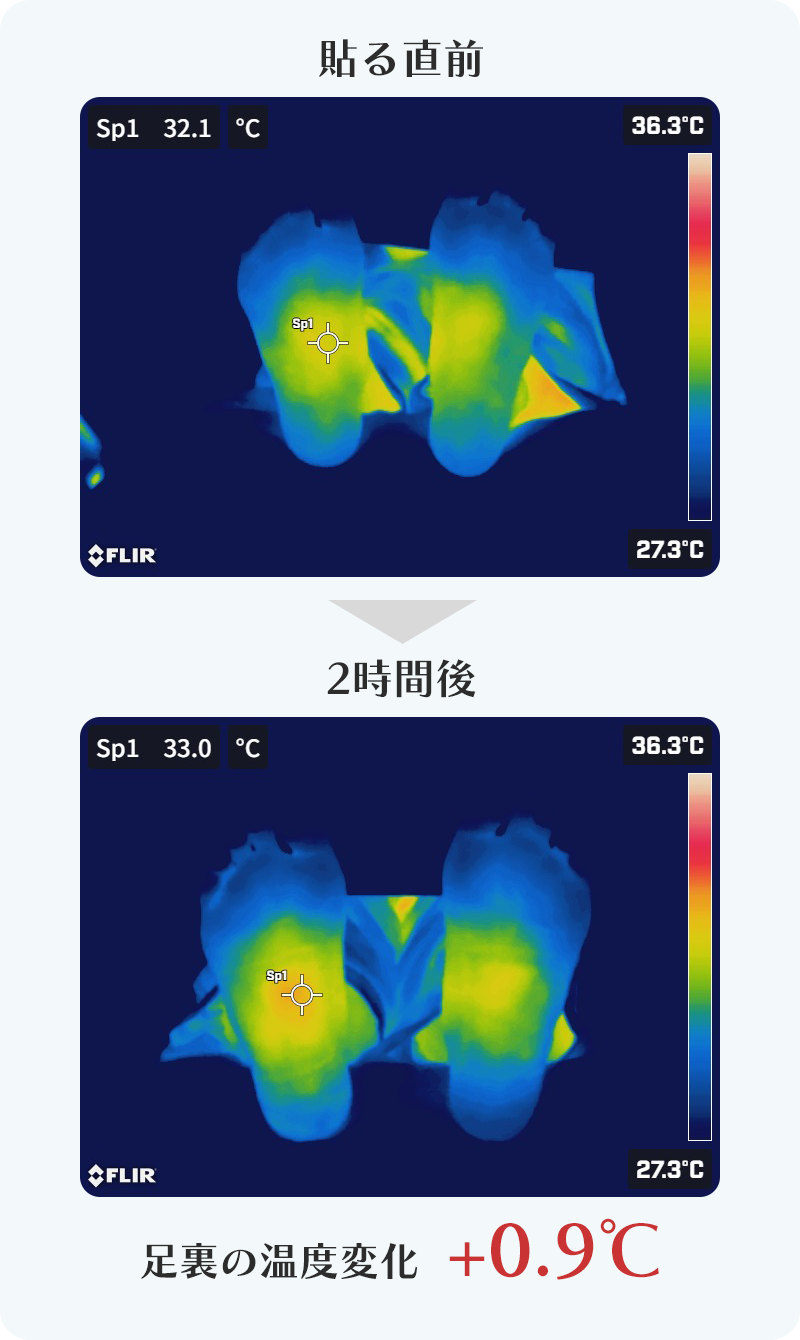 +0.9℃