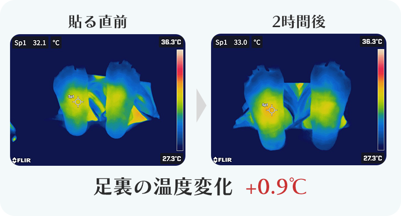 +0.9℃