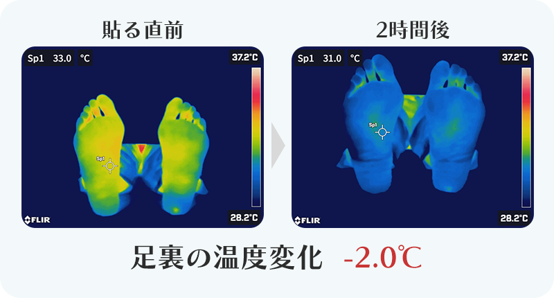 +2.0℃